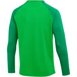 Trikot Nike Dri-FIT Academy pro image-3