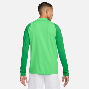 Trikot Nike Dri-FIT Academy pro image-4