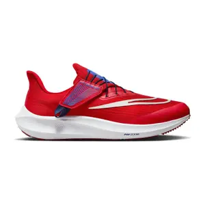 Scarpe running Nike Pegasus EasyOn image-0
