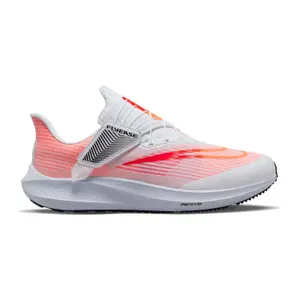 Scarpe running Nike Air Zoom Pegasus 39 EasyOn image-0