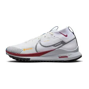 Trail running shoes Nike Pegasus Trail 4 Gore-Tex image-2
