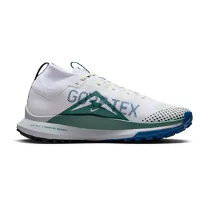 Trail running shoes Nike Pegasus Trail 4 Gore-Tex image-1