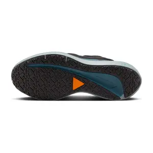 Scarpe running Nike Winflo 9 Shield image-5