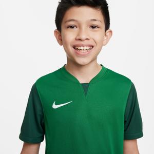 Maillot enfant Nike Dri-Fit Trophy V image-3