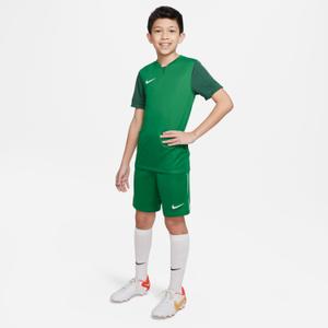 Maillot enfant Nike Dri-Fit Trophy V image-2