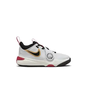 Baskets enfant Nike Team Hustle D 11 image-0
