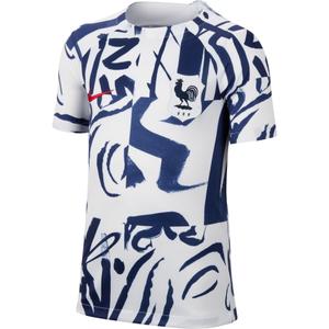 Camiseta infantil de la Copa del Mundo Femenina 2023 France Dri-FIT Academy Pro inf image-0
