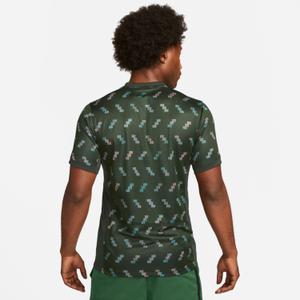 Camiseta segunda equipación Copa del Mundo Femenina 2023 Nigeria Dri-FIT Stadium image-4