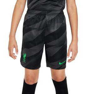 dx2787-060-short-de-gardien-enfant-liverpool-fc-stadium-2023-24-anthracite-poison-green