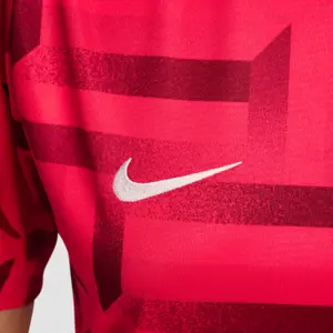 Camiseta Prematch Inglaterra Academy Pro Euro 2024 image-5