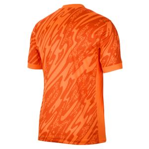 Torwarttrikot England Dri-FIT Euro 2024 image-3