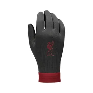 Rękawice Liverpool FC Academy ThermaFit 2023/24 image-1