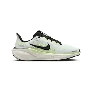 Zapatillas de running infantil Nike Pegasus 41 image-0
