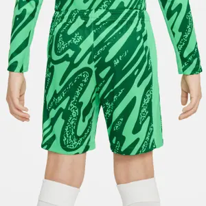 Children's shorts PSG Dri-Fit Gk 2024/25 image-3