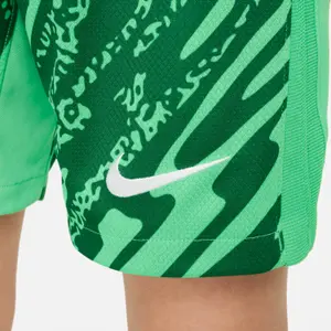 Children's shorts PSG Dri-Fit Gk 2024/25 image-6