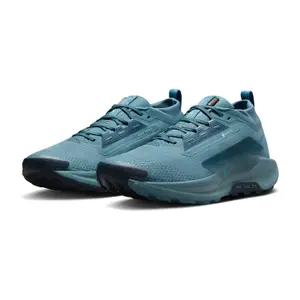 Trail shoes Nike Pegasus 5 Gore-Tex image-2