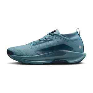 Trail shoes Nike Pegasus 5 Gore-Tex image-1