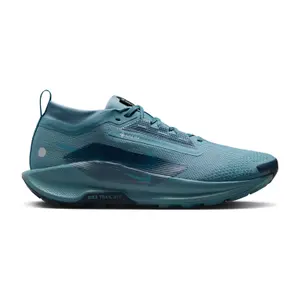 Trail shoes Nike Pegasus 5 Gore-Tex image-0