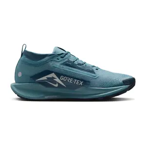 Trail shoes Nike Pegasus 5 Gore-Tex image-3