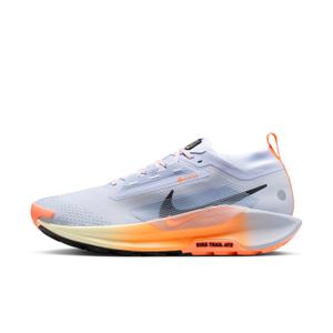 Zapatillasde trail Nike Pegasus Trail 5 GORE-TEX image-2