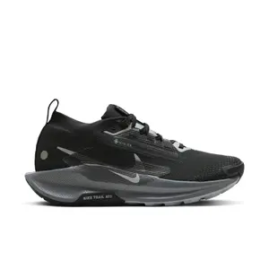Damesschoenen Nike Pegasus 5 Gore-tex image-0