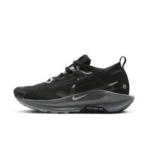 Damesschoenen Nike Pegasus 5 Gore-tex image-3