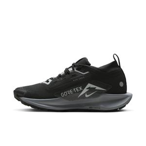 Damesschoenen Nike Pegasus 5 Gore-tex image-4