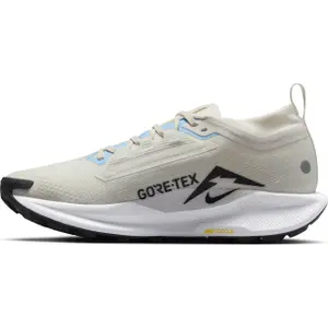 Damesschoenen Nike Pegasus 5 Gore-Tex image-4