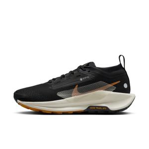 Damesschoenen Nike Pegasus 5 Gore-Tex image-1