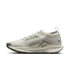 Damesschoenen Nike Pegasus 5 Gore-Tex image-1
