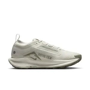 Damesschoenen Nike Pegasus 5 Gore-Tex image-0