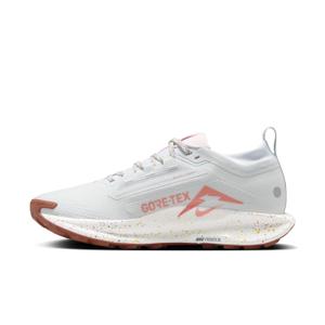 Damesschoenen Nike Pegasus 5 Gore-Tex image-2