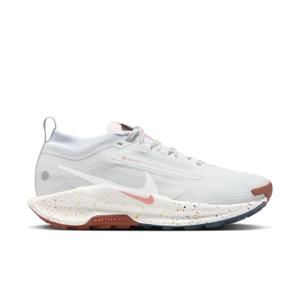 Damesschoenen Nike Pegasus 5 Gore-Tex image-1
