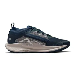 Buty do biegania dla kobiet Nike Pegasus 5 Gore-Tex image-3