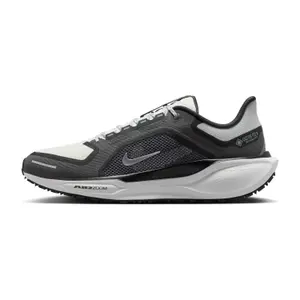 Sapatilhas de running Nike Pegasus 41 GORE-TEX image-1