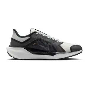 Sapatilhas de running Nike Pegasus 41 GORE-TEX image-2