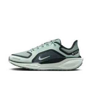 Women's running shoes Nike Pegasus 41 Gore-Tex image-1