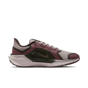 Damen-Laufschuhe Nike Pegasus 41 Gore-Tex image-2