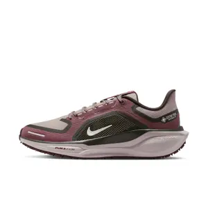 Damen-Laufschuhe Nike Pegasus 41 Gore-Tex image-1