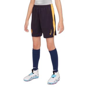 Shorts für Kinder – Ausweich Inter Milan 2024/25 image-1