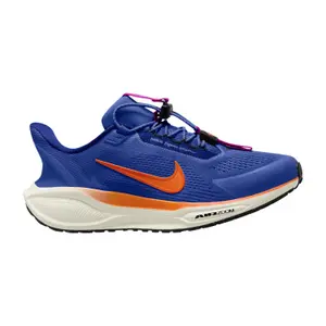 Running shoes Nike Pegasus Easyon image-0