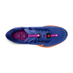 Running shoes Nike Pegasus Easyon image-2