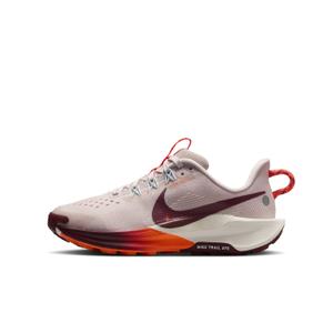 Sapatos de trail Nike Pegasus Trail 5 image-1