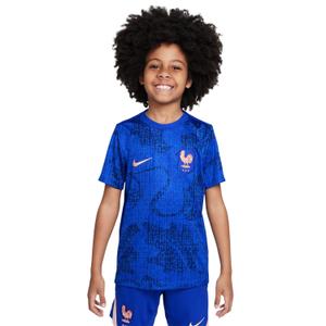 Maillot infantil Francia Academy Pro