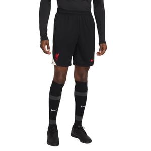 Träningsshorts Liverpool FC Dri-FIT Strike Kz 2024/25 image-0