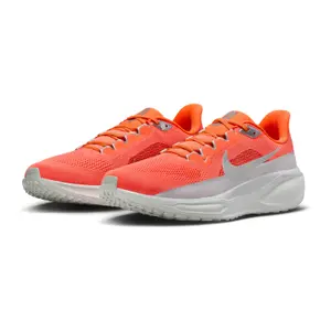 Running shoes Nike Pegasus 41 Premium image-1