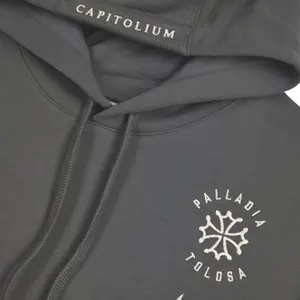 Sweatshirt Stade Toulousain 2025/2026 image-3