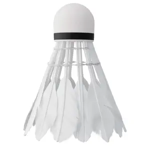 Volani da badminton NILS Extreme NBL6206 (x6) image-1