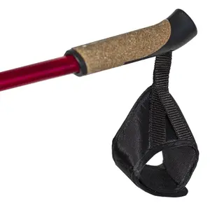 Bâton de marche nordique NILS NW802 image-4