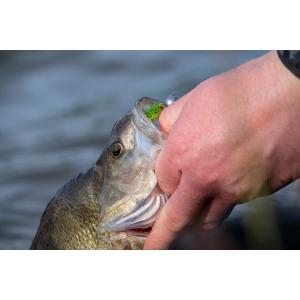 Micro jigs Fox Rage 2g x 5 image-2